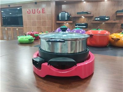 Multi-function Electric Wok On Ceramic Cooktop