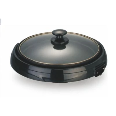 Small Plane Detachable Electric Griddle supplier