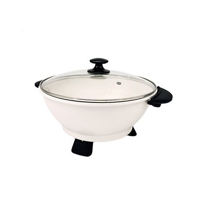 Stock Electric Soup Pot