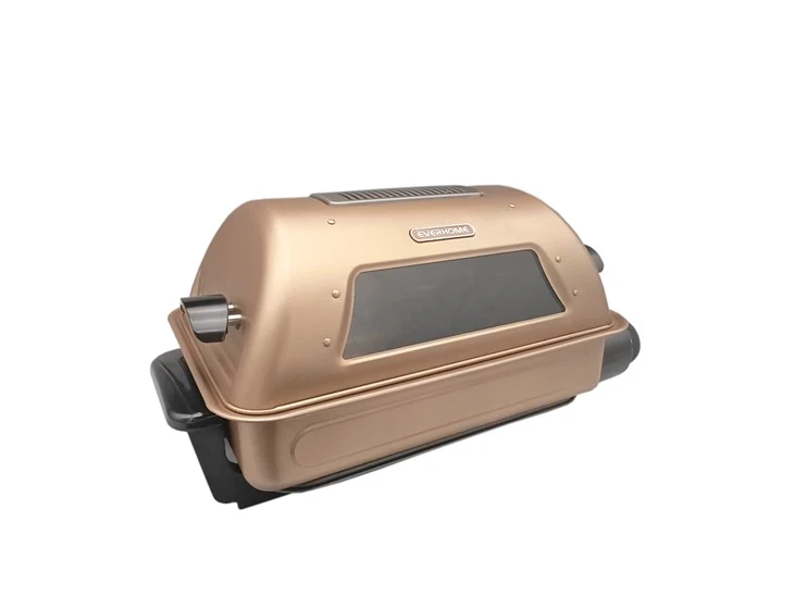 Multiple People Using Electric Fish Roaster Electric Fish Grill