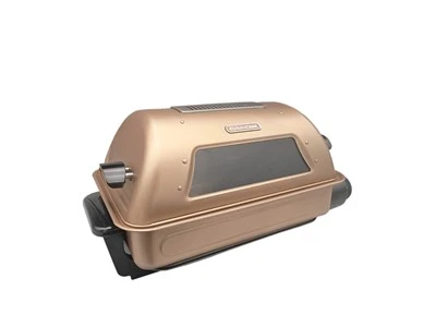 Multiple People Using Electric Fish Roaster Electric Fish Grill